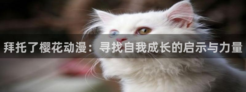 omofun动漫软件下载免费版：拜托了樱花动漫：寻找自我成长的启示与力量