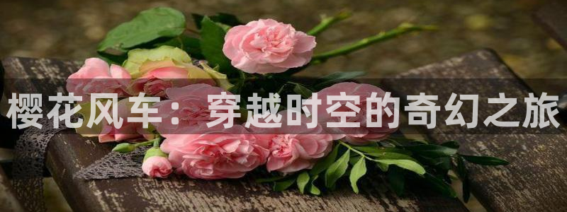 omofun.con：樱花风车：穿越时空的奇幻之旅