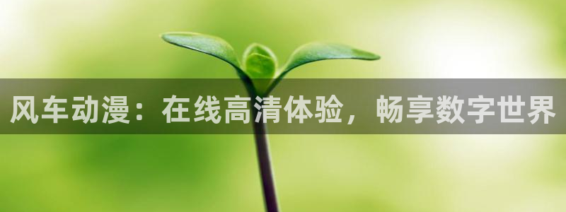 omofun动漫软件：风车动漫：在线高清体验，畅享数字世界