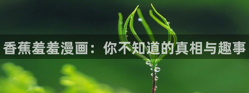 omofun官方网页