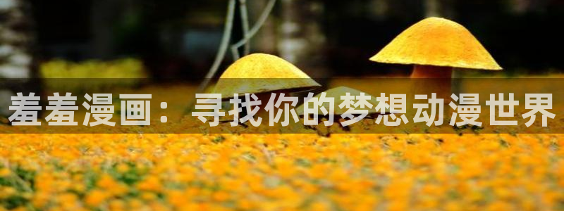 omofun怎么下