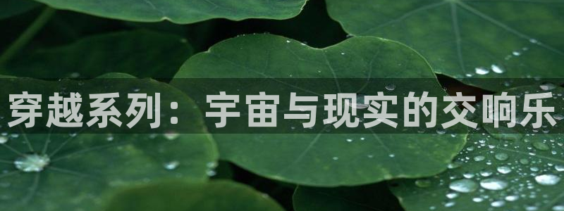 omofun动漫官网网址