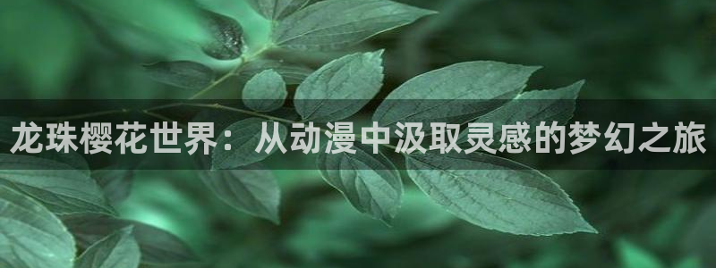 omofun动漫网页