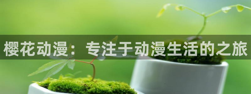 omofun网页版登录入口：樱花动漫：专注于动漫生活的之旅